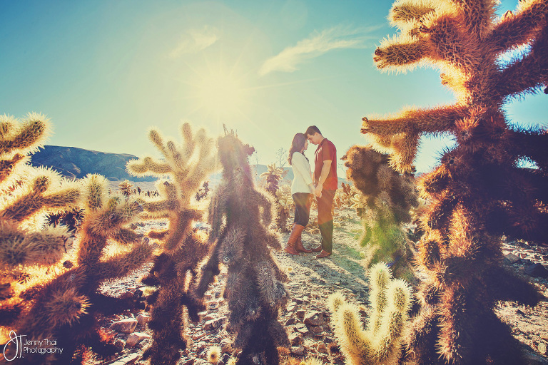 Joshua Tree Engagement