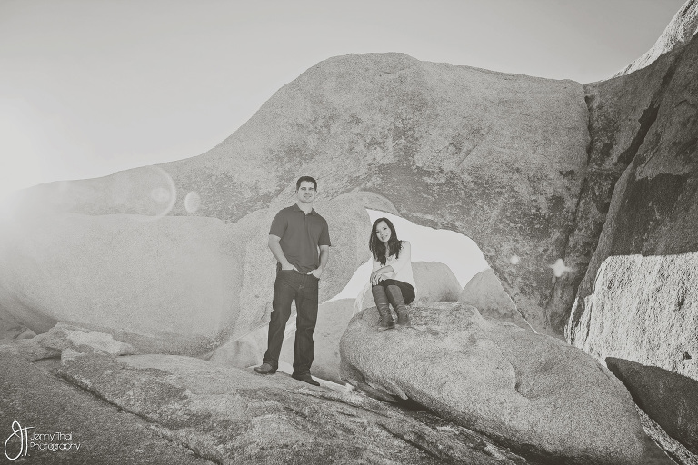 Joshua Tree Engagement