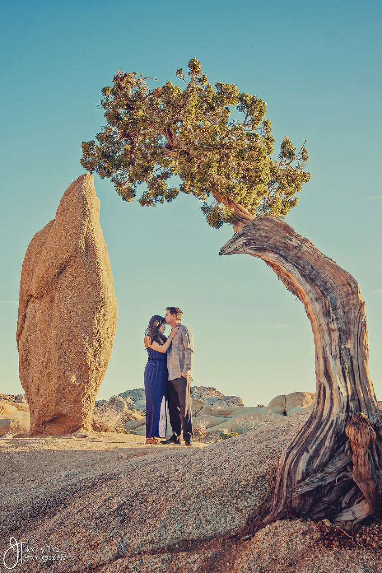 Joshua Tree Engagement