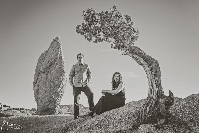 Joshua Tree Engagement