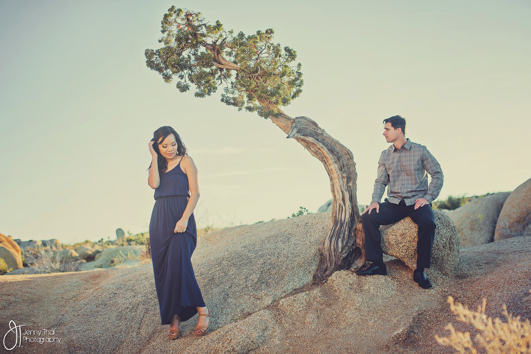 Joshua Tree Engagement