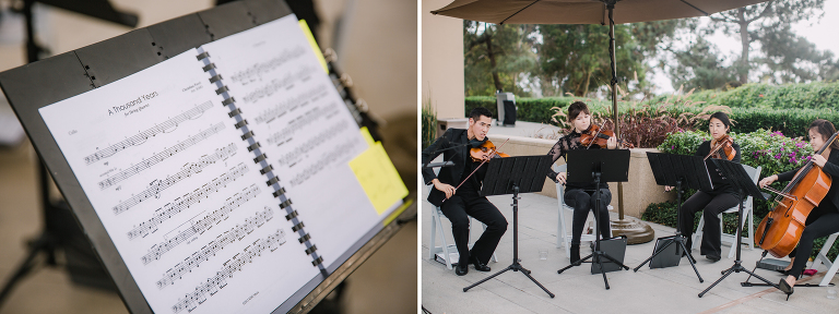 La Jolla Wedding Photographer