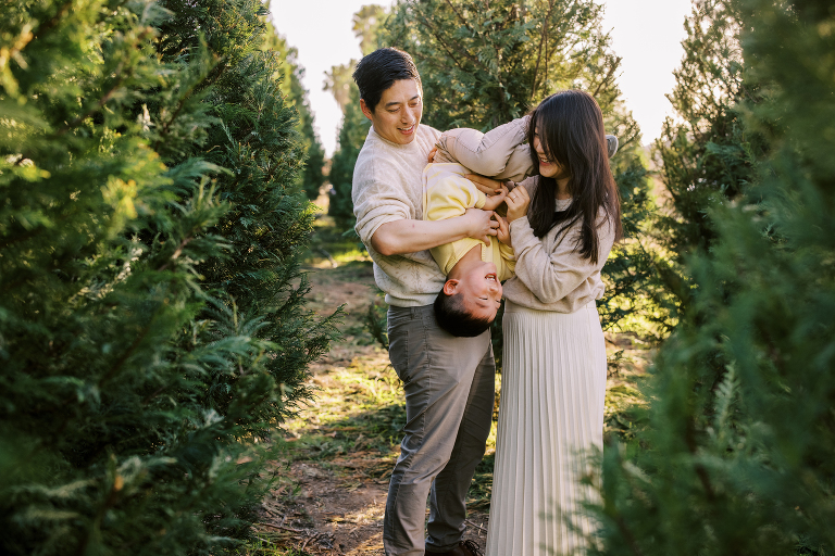 Christmas Tree Farm Minis