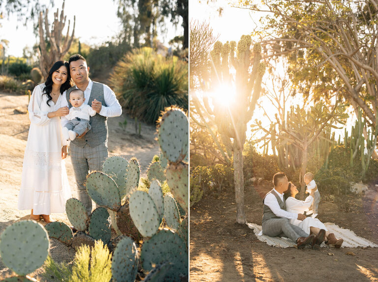 Desert Garden Mini Session
